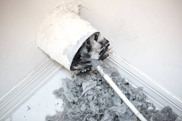 Best Residential Air Duct Cleaning  in Wolfe City, TX
